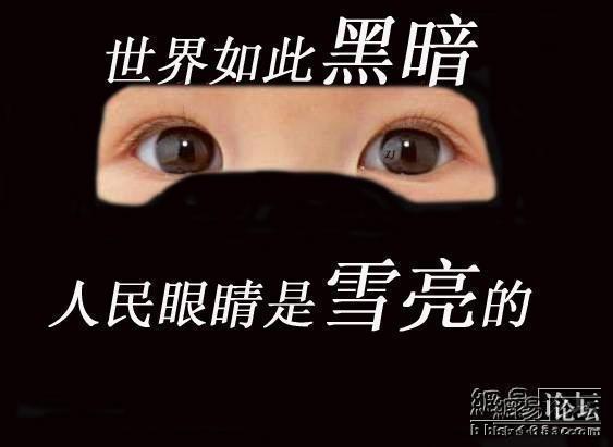 [转帖]私人造房用特警来撑门面
