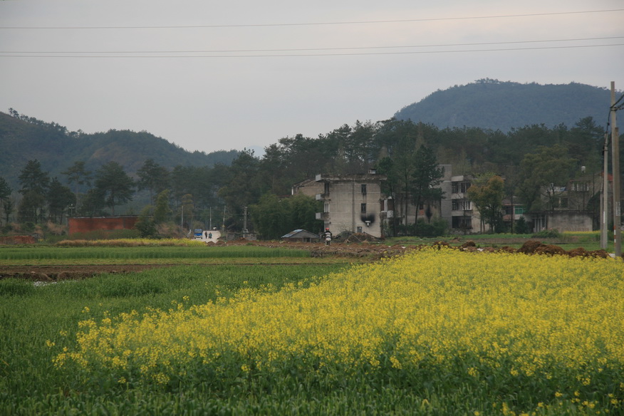 沿始丰溪旅游线