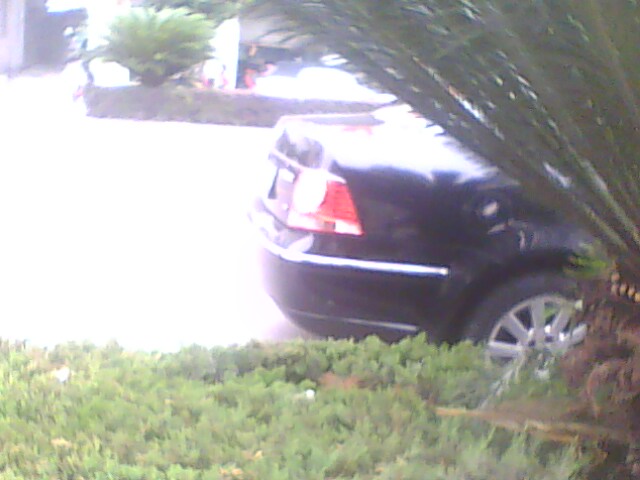 IMG0203A.jpg