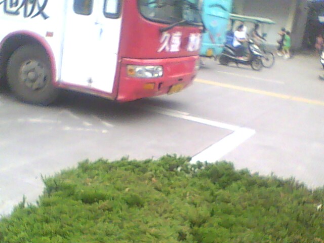 IMG0204A.jpg