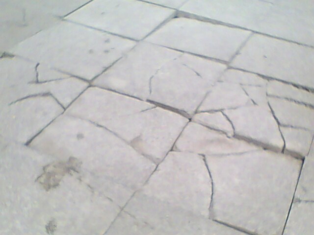 IMG0229A.jpg
