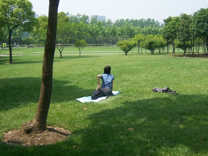 瑜伽.jpg