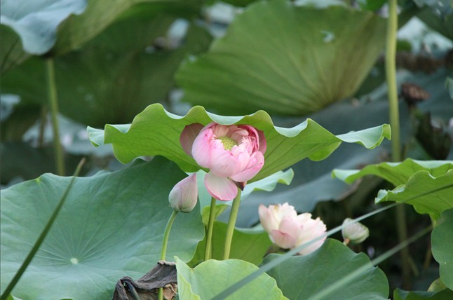 未命名.jpg