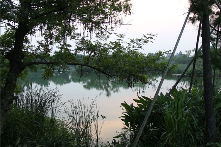 未命名.jpg