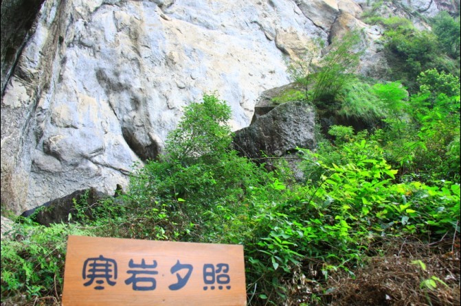 未命名.jpg