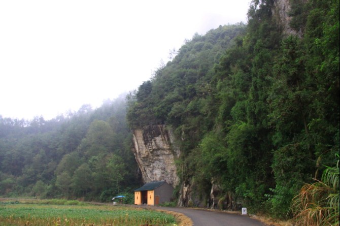 未命名.jpg