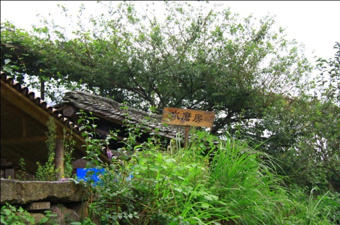 未命名.jpg
