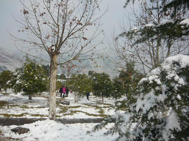 P1050072.JPG