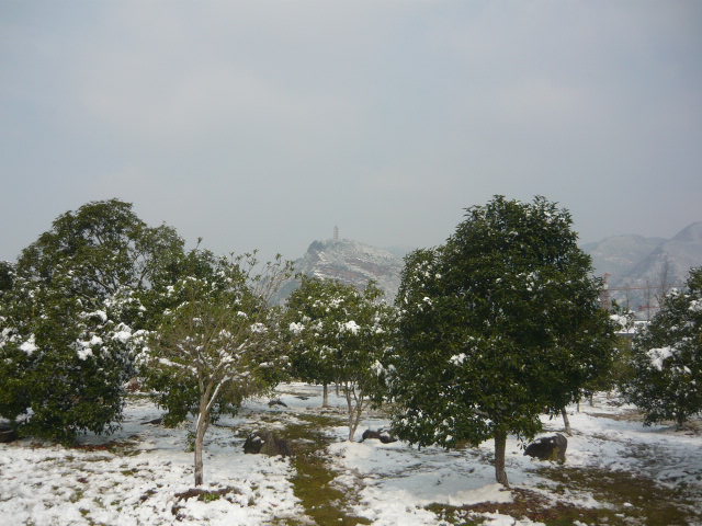 P1050076.JPG