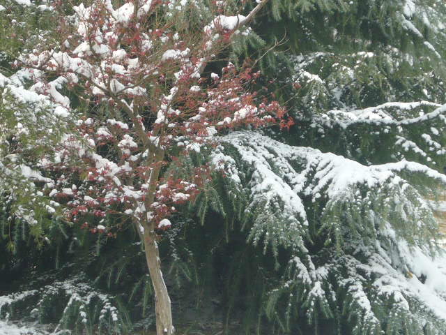 P1050078.JPG