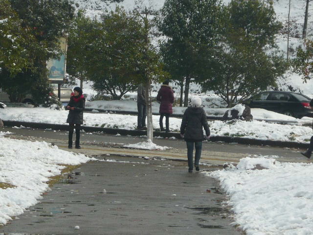 P1050084.JPG