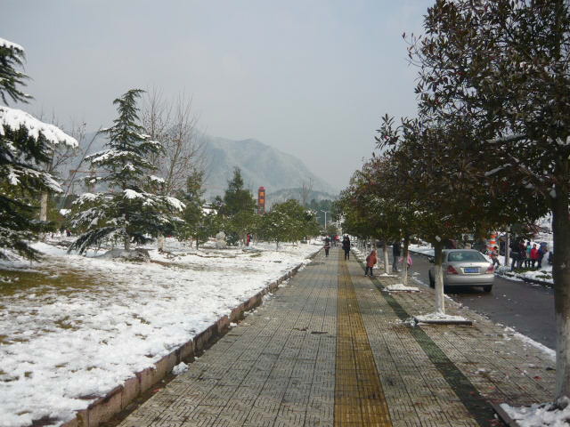 P1050088.JPG